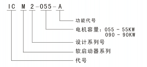 ICM2ѡ˵