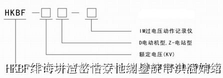 HKBF系列复合式过电压保护器 HKBF系列复合式过电压保护器