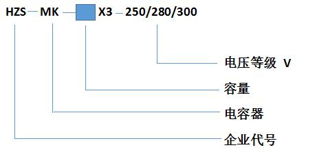 HZS-MK-20X3-250ʾ30ǧ͵ѹȼ250V